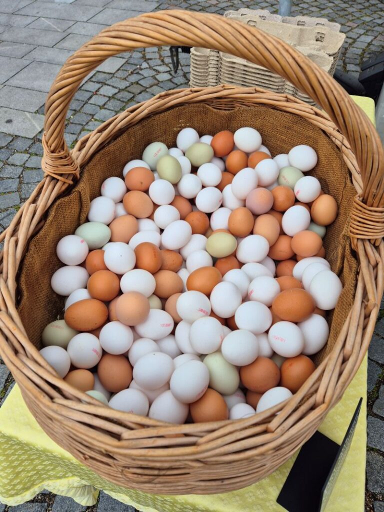 Eggs at the Planegg market